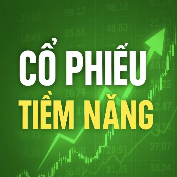 BÁO CÁO NGÀNH THÉP VIỆT NAM 2025 (12/06/2025)